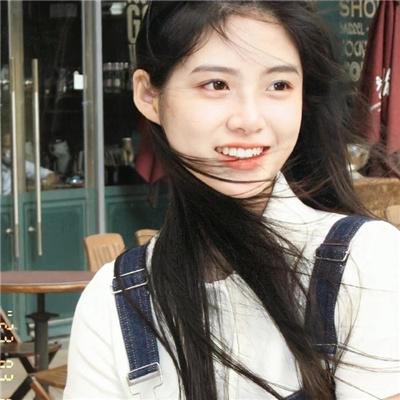 汪喵物语